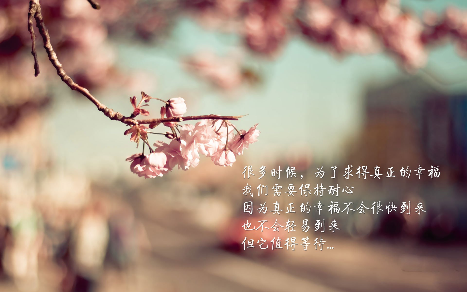 乒乓球赛事吸引全球观众，线上观看量破纪录，观看乒乓球比赛直播的人数有136万人